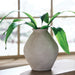 Hannela Vase - Furniture Citi (Multi Location - MI)