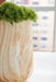 Cammen Vase - Furniture Citi (Multi Location - MI)