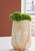 Cammen Vase - Furniture Citi (Multi Location - MI)