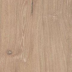 Cielden Chest of Drawers - Furniture Citi (Multi Location - MI)