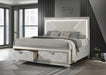 B026 Magic Gold Bed - Furniture Citi (Multi Location - MI)