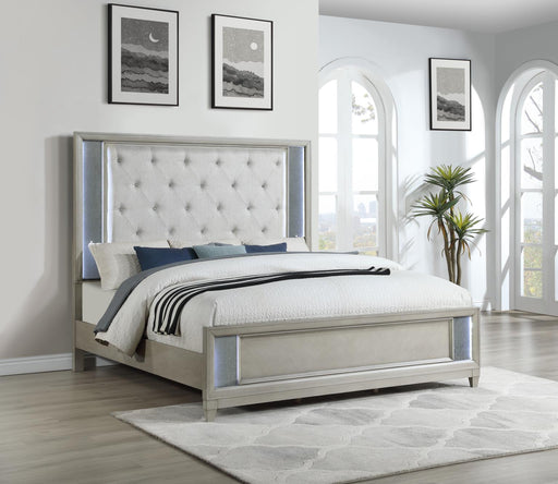 B090 Gray Bed - Furniture Citi (Multi Location - MI)