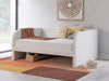 Arloster Upholstered Bed - Furniture Citi (Multi Location - MI)