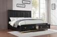 B236 Black-Gold Bed - Furniture Citi (Multi Location - MI)