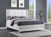 B252 Beige Led Bed - Furniture Citi (Multi Location - MI)