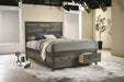 B271 Ash Gray Bed - Furniture Citi (Multi Location - MI)