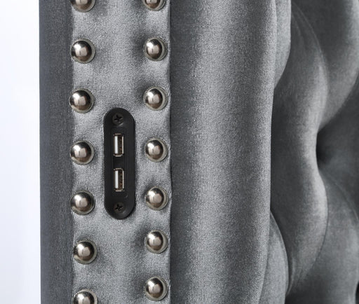 B546 Gray Velvet Bed With Bluetooth Speaker-Usb - Furniture Citi (Multi Location - MI)