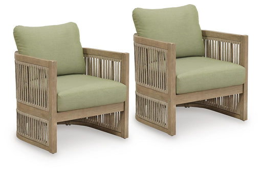 Serena Shores Outdoor Lounge Chair (Set of 2) - Furniture Citi (Multi Location - MI)