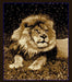 1108 Lion - Star image